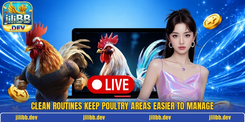 Clean routines keep poultry areas easier to manage